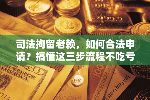 北京司法拘留老赖，如何合法申请？搞懂这三步流程不吃亏！
