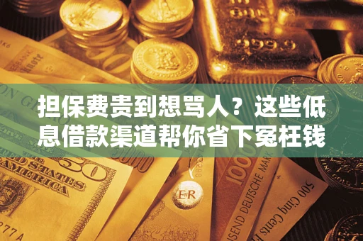 北京担保费贵到想骂人？这些低息借款渠道帮你省下冤枉钱
