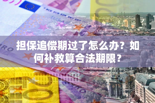北京担保追偿期过了怎么办？如何补救算合法期限？