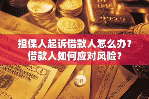北京担保人起诉借款人怎么办？借款人如何应对风险？